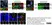 Anti Aurora-A Kinase Antibody, clone 35C1 thumbnail image 7