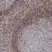 Anti Human Bcl-2 Antibody, clone 100 (Monoclonal Antibody Antibody) thumbnail image 1