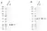 Anti Human Bcl-2 Antibody, clone 100 (Monoclonal Antibody Antibody) thumbnail image 4