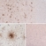 Anti Human Beta Amyloid (aa37-42) Antibody, clone MAb1.1 thumbnail image 1