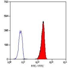 Anti Human BLTR Antibody, clone 202/7B1 gallery image 1