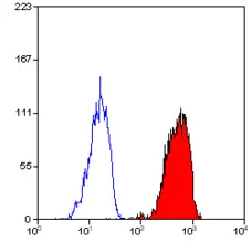 Anti Human BLTR Antibody, clone 202/7B1 gallery image 2