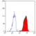 Anti Human BLTR Antibody, clone 202/7B1 thumbnail image 2