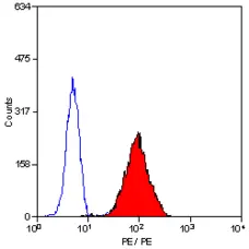 Anti Human BLTR Antibody, clone 202/7B1 gallery image 3