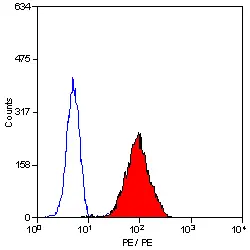 Anti Human BLTR Antibody, clone 202/7B1 gallery image 3