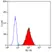 Anti Human BLTR Antibody, clone 202/7B1 thumbnail image 3