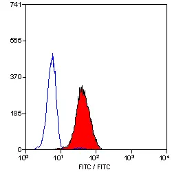 Anti Human BLTR Antibody, clone 202/7B1 gallery image 4