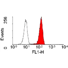 Anti Human BLTR Antibody, clone 202/7B1 gallery image 5