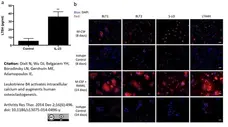 Anti Human BLTR Antibody, clone 202/7B1 gallery image 6