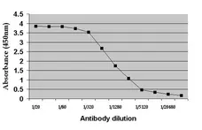 Anti c-Myc Antibody, clone 9E10 gallery image 1