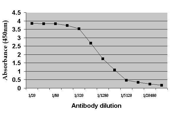 Anti c-Myc Antibody, clone 9E10 gallery image 1