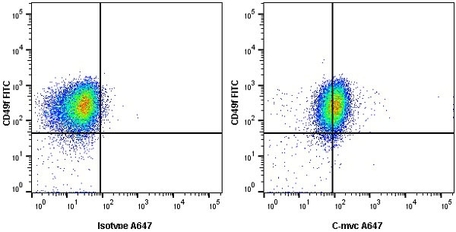 Anti c-Myc Antibody, clone 9E10 | Bio-Rad