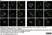 Anti c-Myc Antibody, clone JAC6 thumbnail image 7