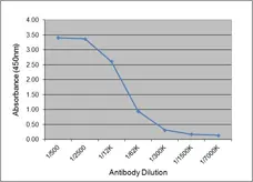 Anti Human C-Reactive Protein Antibody, clone 160.7A5 gallery image 1