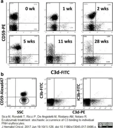 Anti Human C3b Antibody, clone H11 gallery image 1