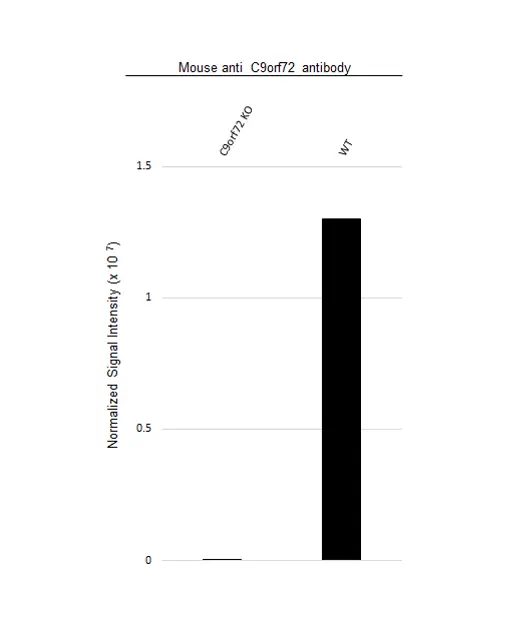 Anti C9orf72 Antibody, clone B01-5F2 (PrecisionAb Monoclonal Antibody) gallery image 2