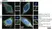 Anti C9orf72 Antibody, clone B01-5F2 (PrecisionAb Monoclonal Antibody) thumbnail image 4