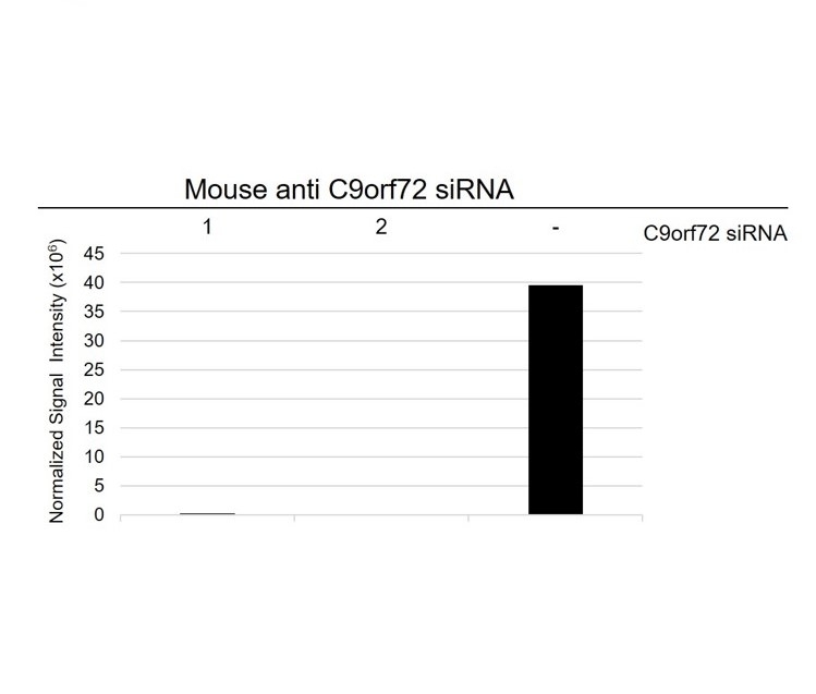 Anti C9orf72 Antibody, clone B01-5F2 (PrecisionAb Monoclonal Antibody) gallery image 5