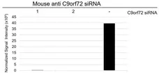 Anti C9orf72 Antibody, clone B01-5F2 (PrecisionAb Monoclonal Antibody) gallery image 7