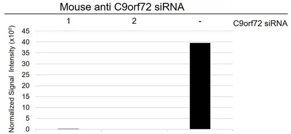 Anti C9orf72 Antibody, clone B01-5F2 (PrecisionAb Monoclonal Antibody) gallery image 7