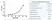 Anti Human CA125 Antibody, clone X325 thumbnail image 1