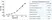 Anti Human CA125 Antibody, clone X75 thumbnail image 1