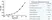 Anti Human CA125 Antibody, clone X75 thumbnail image 2