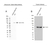Anti Catenin Beta Antibody, clone AB05/1D4 (PrecisionAb Monoclonal Antibody) thumbnail image 2