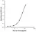 Anti Human CCL3 Antibody, clone H03-5C10 thumbnail image 1