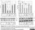 Anti CCT Beta Antibody, clone PK/8/4/4i/2F (PrecisionAb Monoclonal Antibody) thumbnail image 6