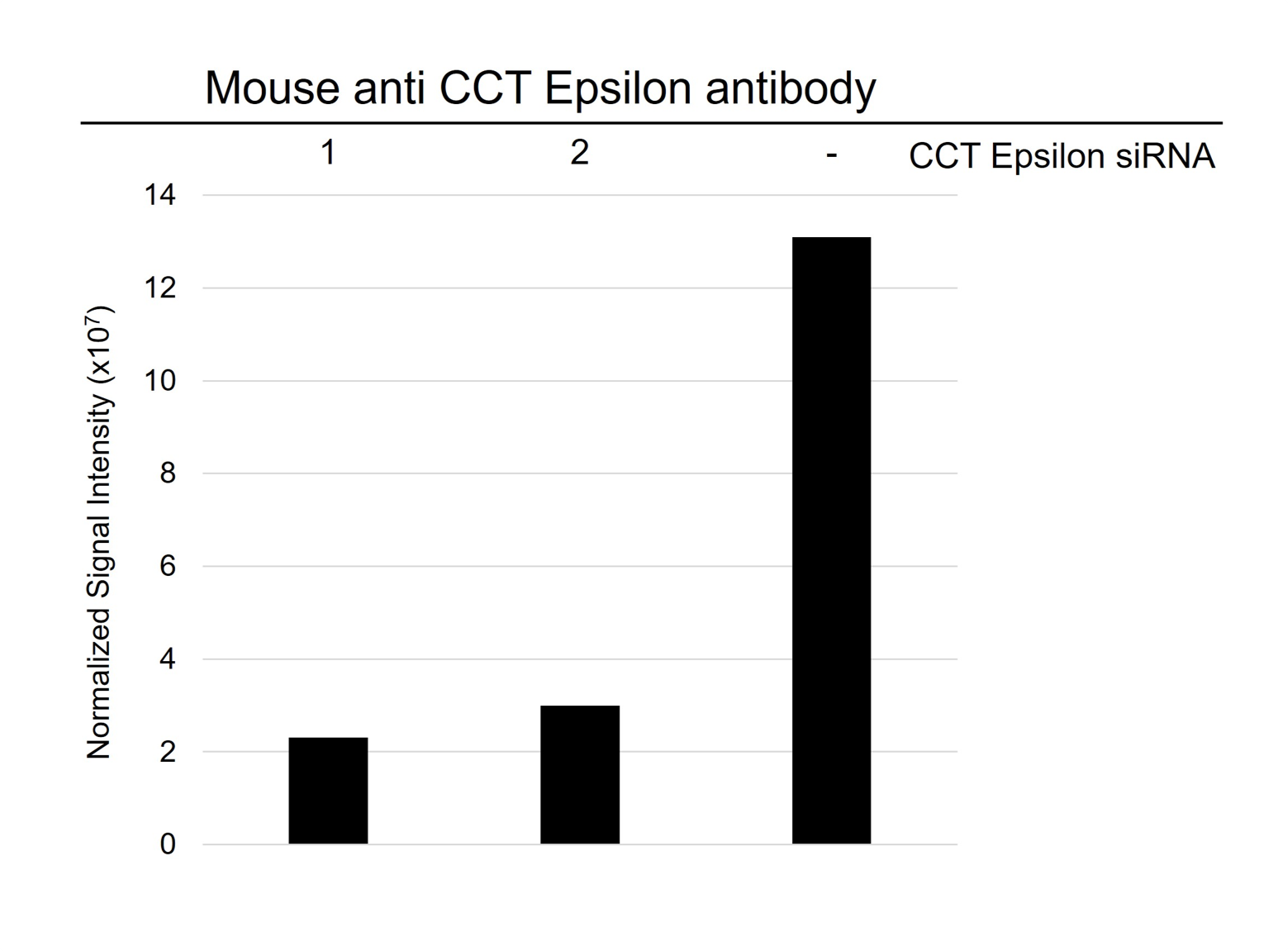 Anti CCT Epsilon Antibody, clone AB03/2D7 (PrecisionAb Monoclonal Antibody) gallery image 3