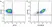 Anti Human CD10 Antibody, clone SN5c thumbnail image 18