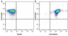 Anti Human CD10 Antibody, clone SN5c gallery image 19