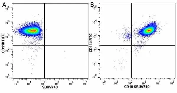 Anti Human CD10 Antibody, clone SN5c gallery image 24