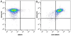 Anti Human CD10 Antibody, clone SN5c gallery image 26