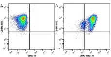 Anti Human CD10 Antibody, clone SN5c gallery image 6