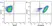 Anti Human CD10 Antibody, clone SN5c thumbnail image 7