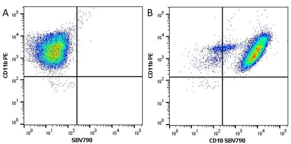Anti Human CD10 Antibody, clone SN5c gallery image 7