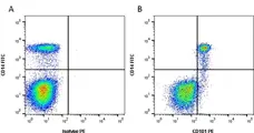 Anti Human CD101 Antibody, clone BB27 gallery image 1
