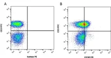 Anti Human CD101 Antibody, clone BB27 gallery image 2