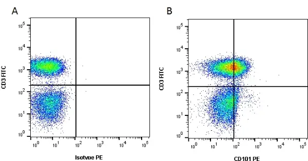 Anti Human CD101 Antibody, clone BB27 gallery image 2