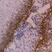 Anti Human CD104 Antibody, clone 450-9D thumbnail image 1