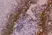 Anti Human CD104 Antibody, clone 450-9D thumbnail image 3