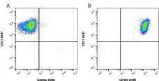Anti Human CD105 Antibody, clone SN6 gallery image 1