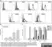 Anti Human CD105 Antibody, clone SN6 thumbnail image 11