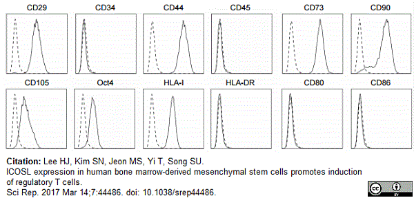 Anti Human CD105 Antibody, clone SN6 gallery image 16