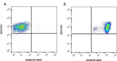 Anti Human CD105 Antibody, clone SN6 gallery image 2