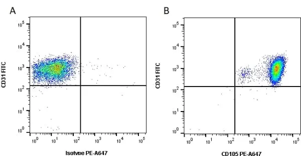 Anti Human CD105 Antibody, clone SN6 gallery image 2