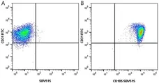 Anti Human CD105 Antibody, clone SN6 gallery image 20