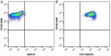 Anti Human CD105 Antibody, clone SN6 gallery image 21